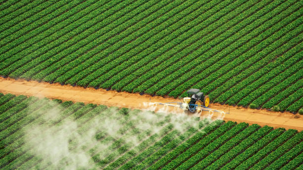 Best Insect Control  in Saluda, SC